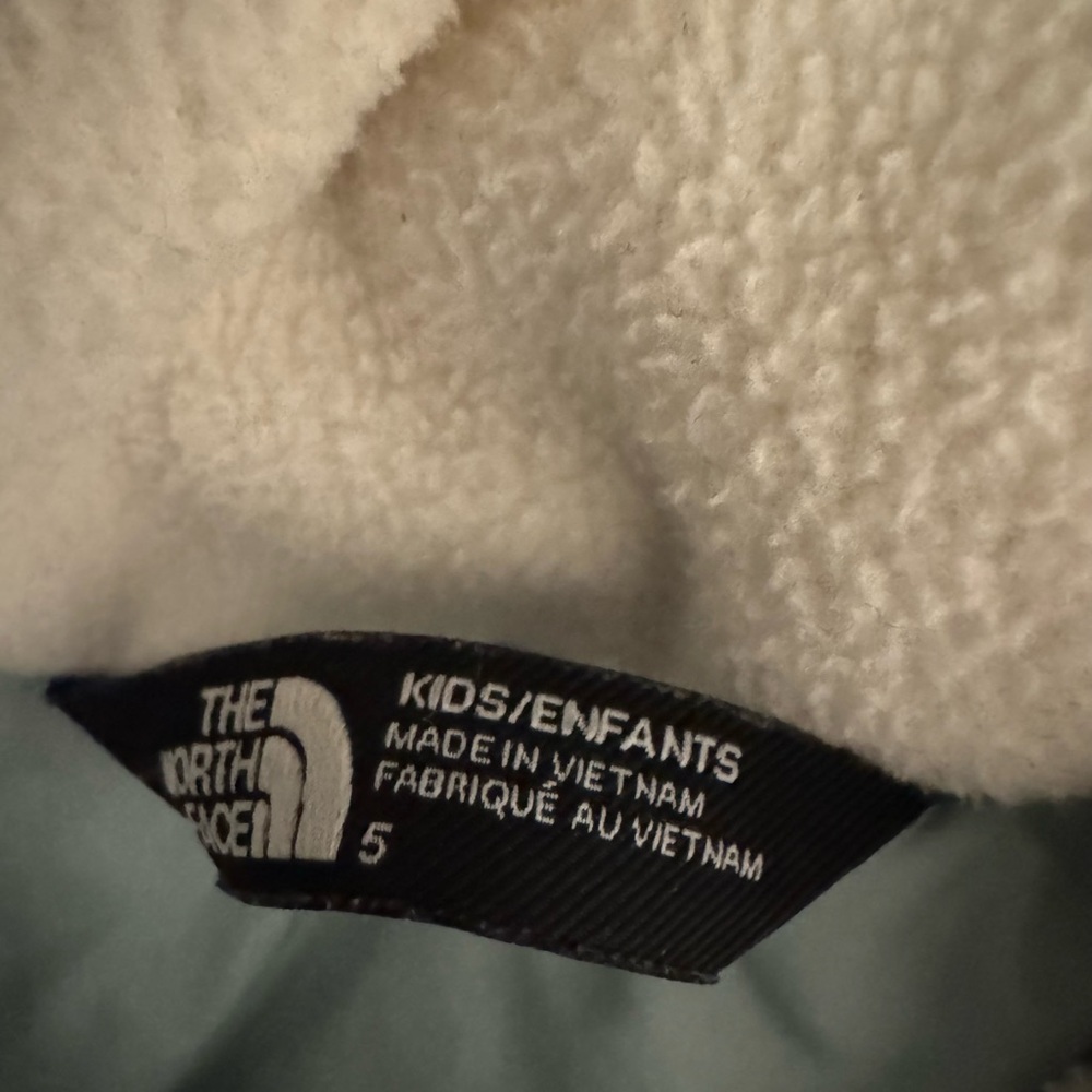 The North Face Hooded Parka in Sage - Picture 5 of 10
